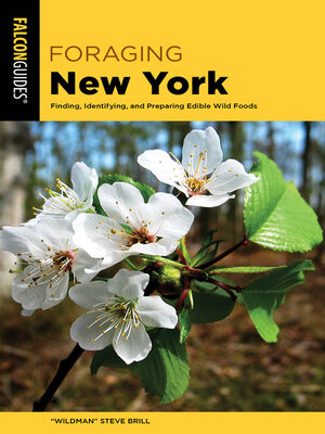 cover image of Foraging New York